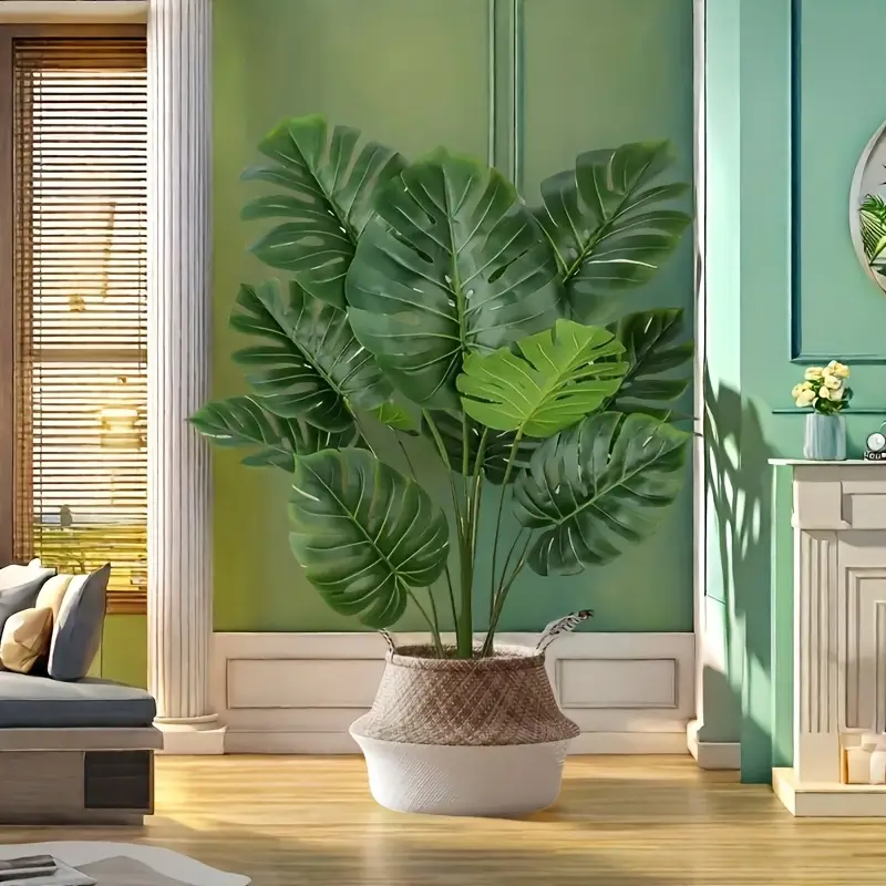 Indoor Plant