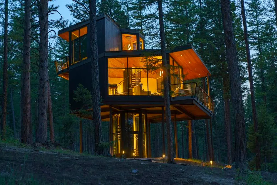 Tree house