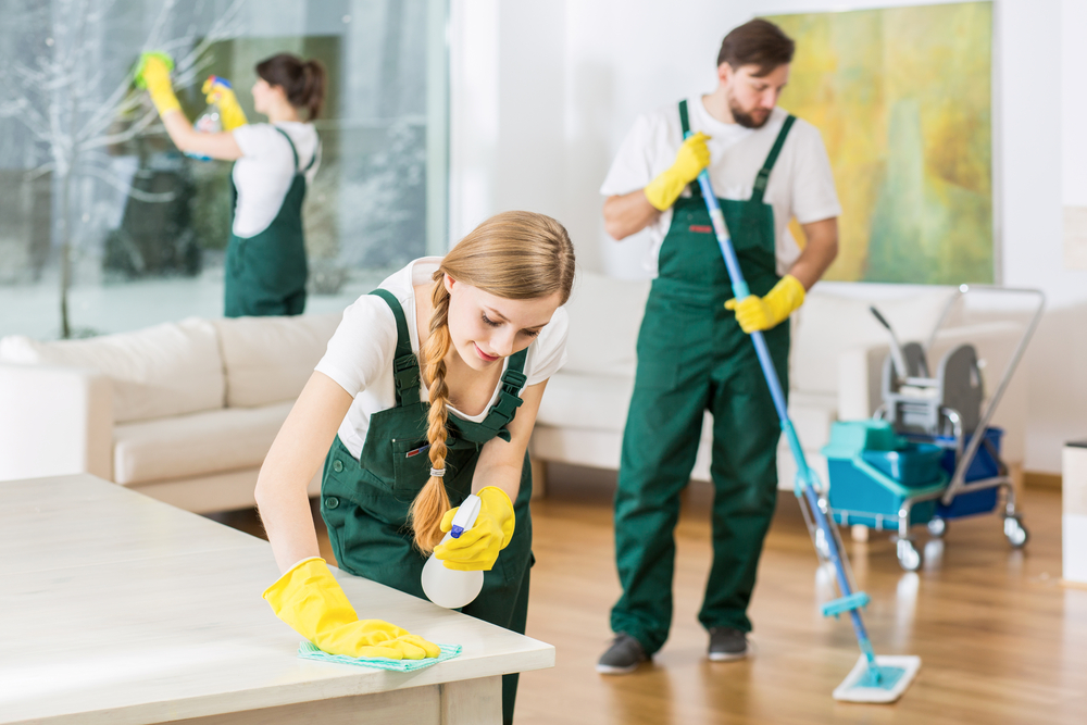 cleaning crew in house